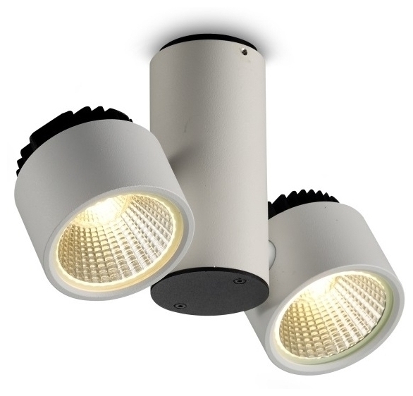 Дизайнерский накладной светильник White Metallic 2 light