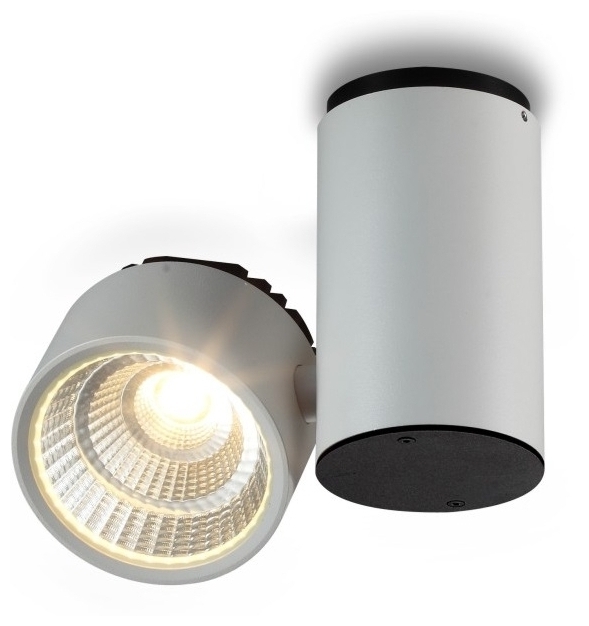 Дизайнерский накладной светильник White Metallic 3