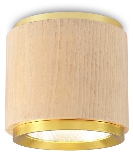Дизайнерский накладной светильник Cerezo 2
