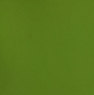 XS-PP-51